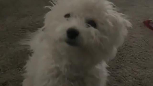 5.Turns out I’m 💯…..