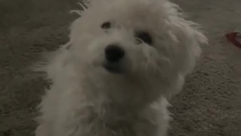 5.Turns out I’m 💯…..