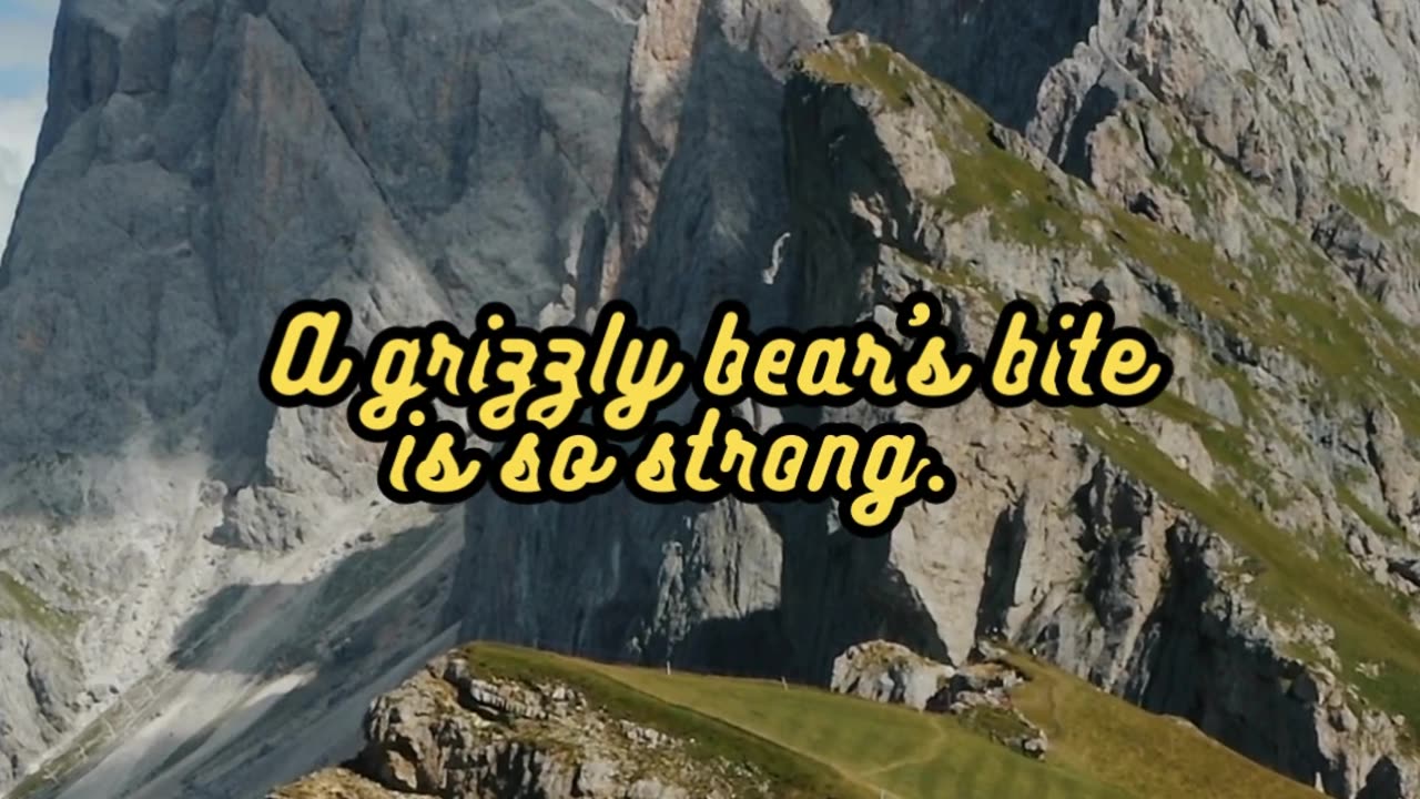 Animal Facts Grizzly Bear Bite #shorts