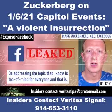 FB insider leaks Zuckerberg talking about the Capitol