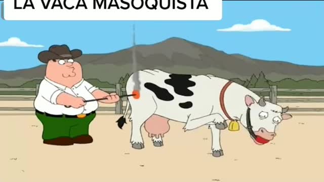 Vaca marcada