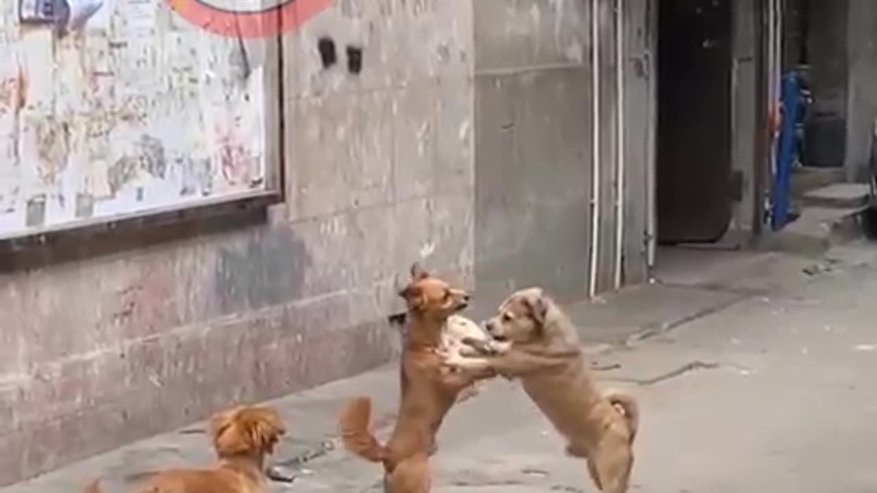 https://youtube.com/shorts/ZfuNdL0j8pg?feature=shared