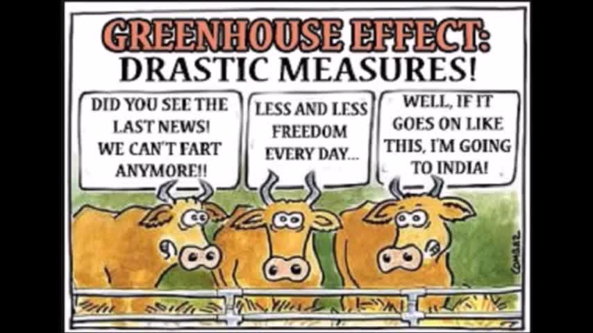 Democrats Support Alexandria Ocasio-Cortez Green New Deal