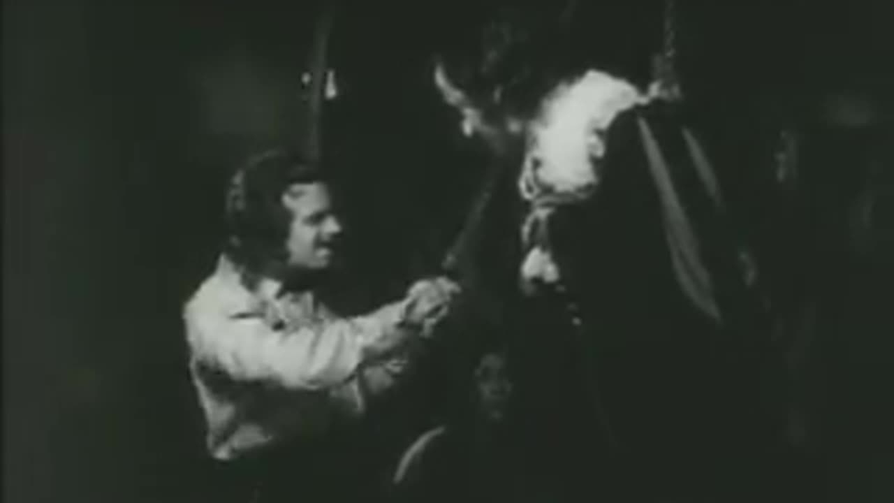 The Iron Mask (1929) - Full movie - Douglas Fairbanks