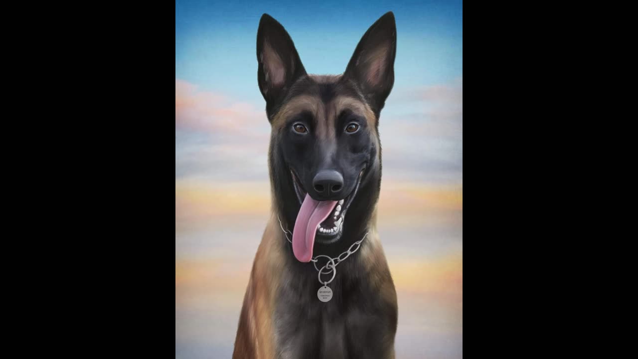 K9 Rivan Line of Duty Death