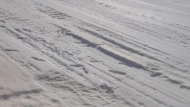 children sledding excitedly in the mountains