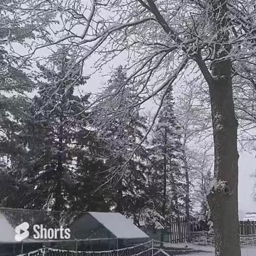 Winter Just Arrived with a Vengeance