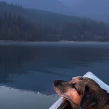 Agreed Fren | Check Description