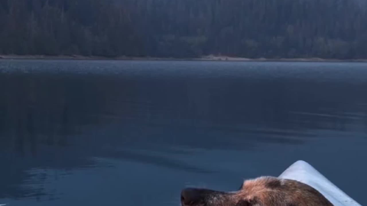 Agreed Fren | Check Description