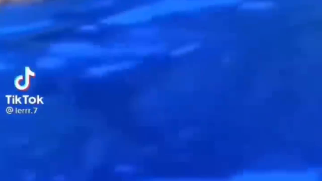 BEST MEMES ON PLANET EARTH