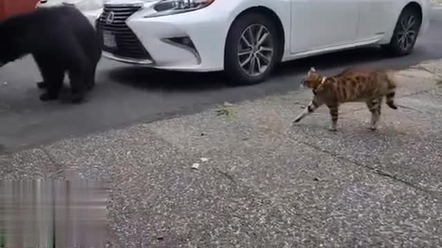 Size does not matter.