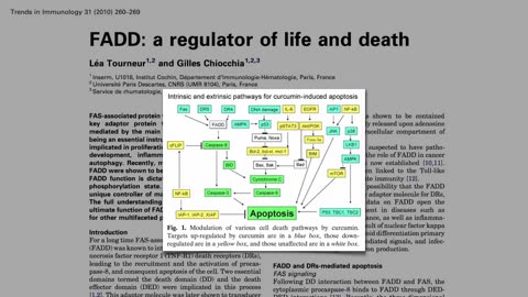 Turmeric Curcumin Reprogramming Cancer Cell Death