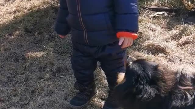 Adorable Puppies playing with Babies is so adorable!