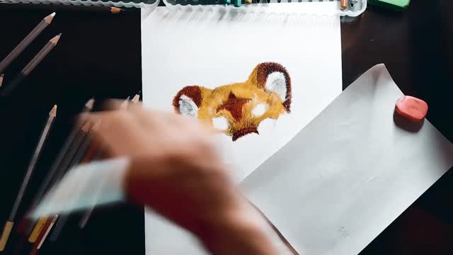 The use of colors