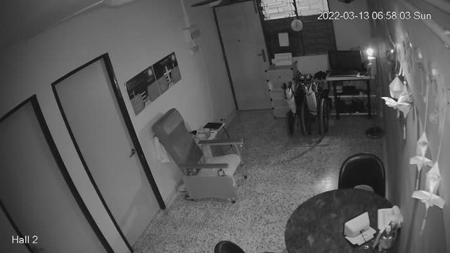 hallback midnight 20220313