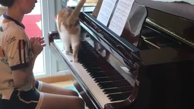 Move over, let me show how it's done. Funny!!