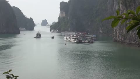 Tour hạ long 1 ngày giá tốt | Tourhalong1ngay.com