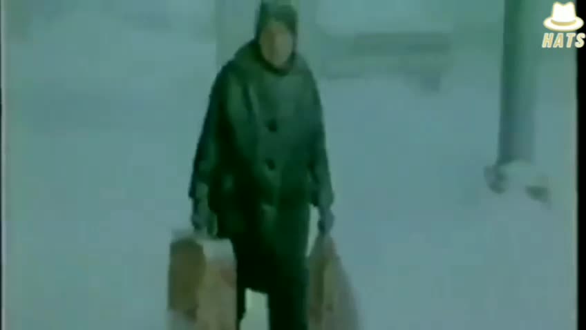 Climate Experts Agree - Another Ice age is on the way