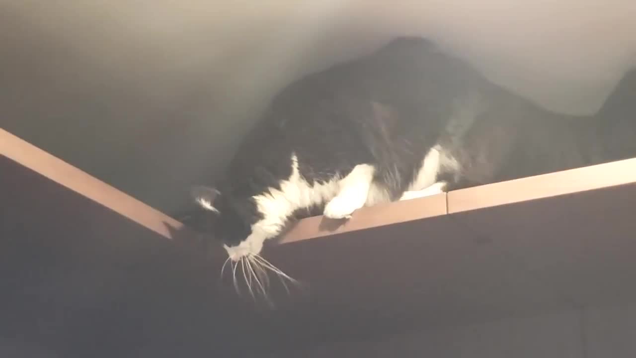 119.stupid idiot gets stuck