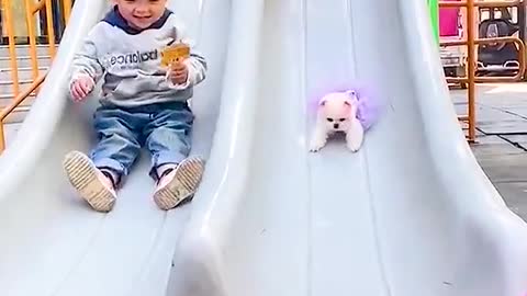 Cute Dogs slips with cute Babys <3