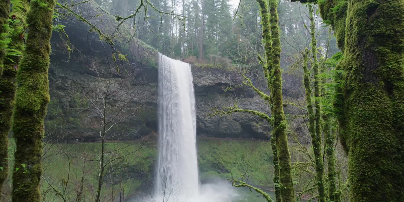 Waterfall in the Forest