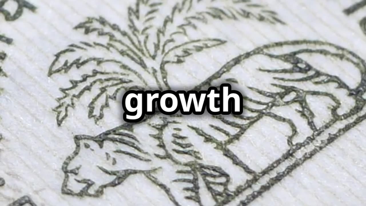 India's Economy: Growth or Slowdown?