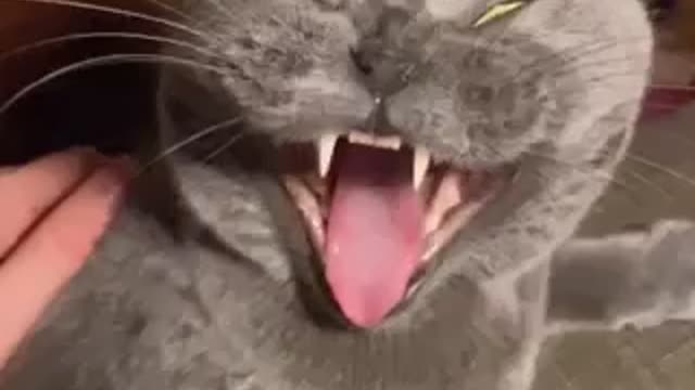 A little sleepy