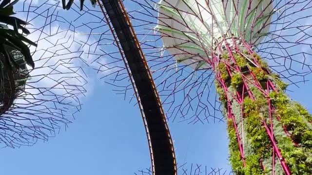 Gardens by the bay