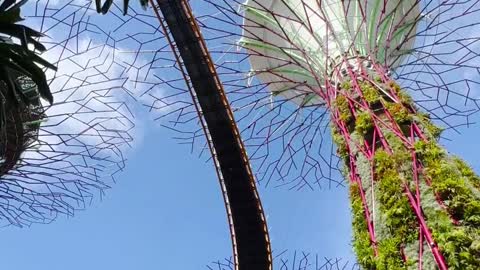 Gardens by the bay