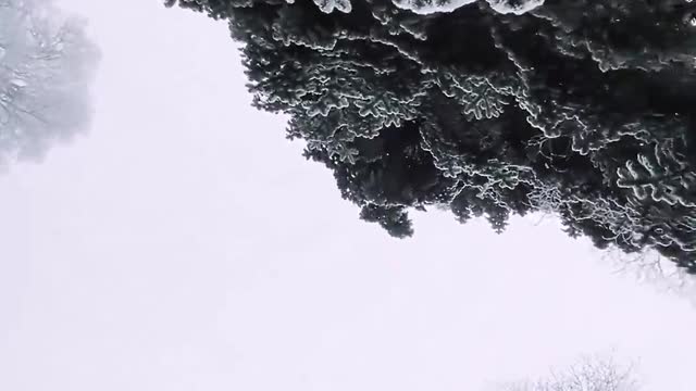 White snow, beautiful scenery