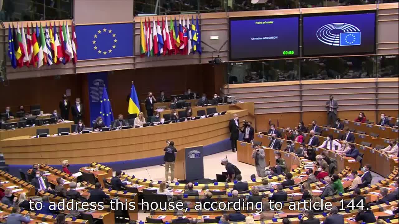 EU parliament Christine Anderson Comment