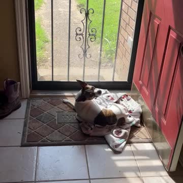 Are you okay Princess?