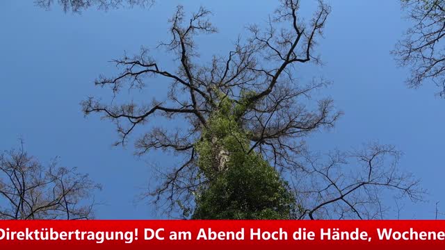 15.07.22 20:00 Direktübertragung! DC am Abend Hoch die Hände, Wochenende!