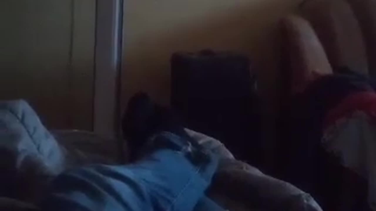 Short video