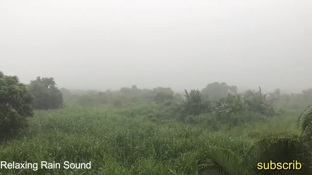 Rain Sounds for Sleeping - Sound of Heavy Rainstorm & Thunder