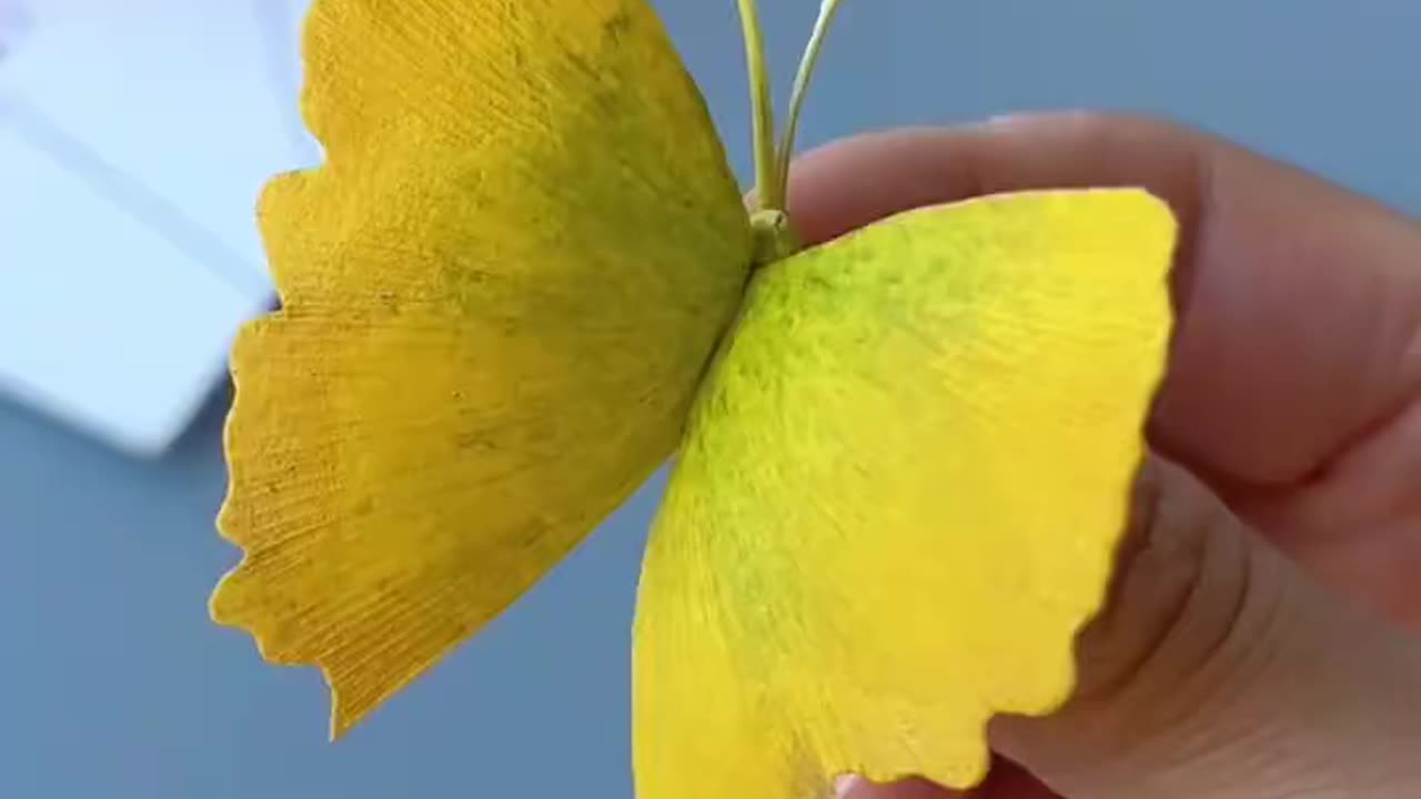 Amazing 🤩 paper made Butterfly 🦋Within 10 Sec / ASMR DIY/ #shorts #reels