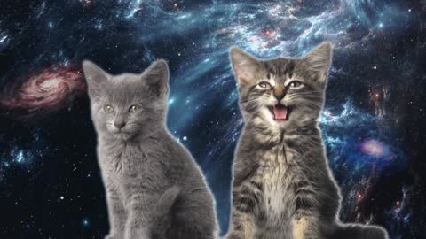 Space Cats __ Magic Fly