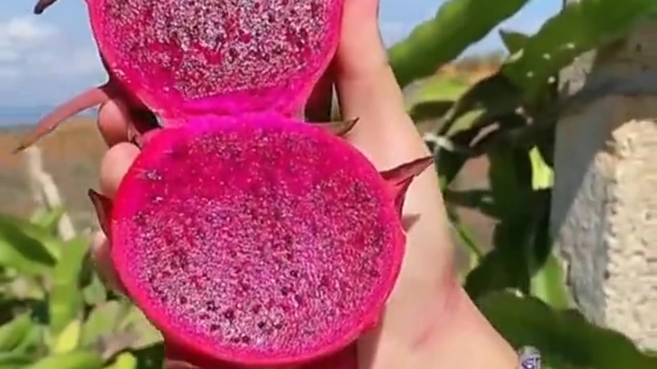 Aik tajer ki 2 biviyun ka wakia