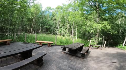 Boardwalk Picnic