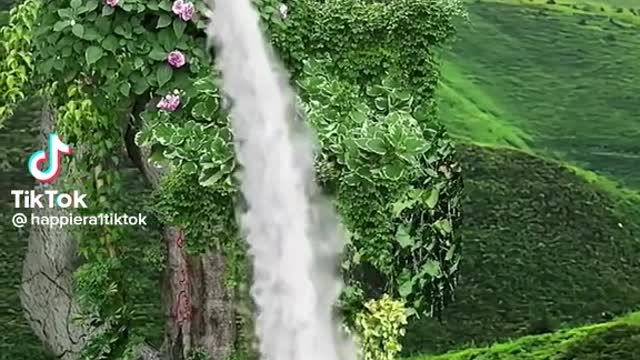 Beautiful