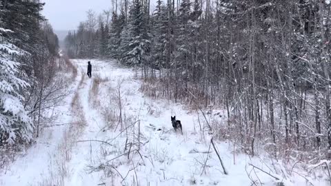 Snowy northern BC