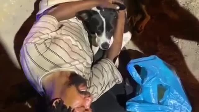 NHW moers, sprays beggar for ’stealing’ his own dog