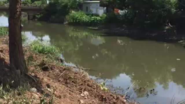 The peaceful river stretch only exists in the homeland