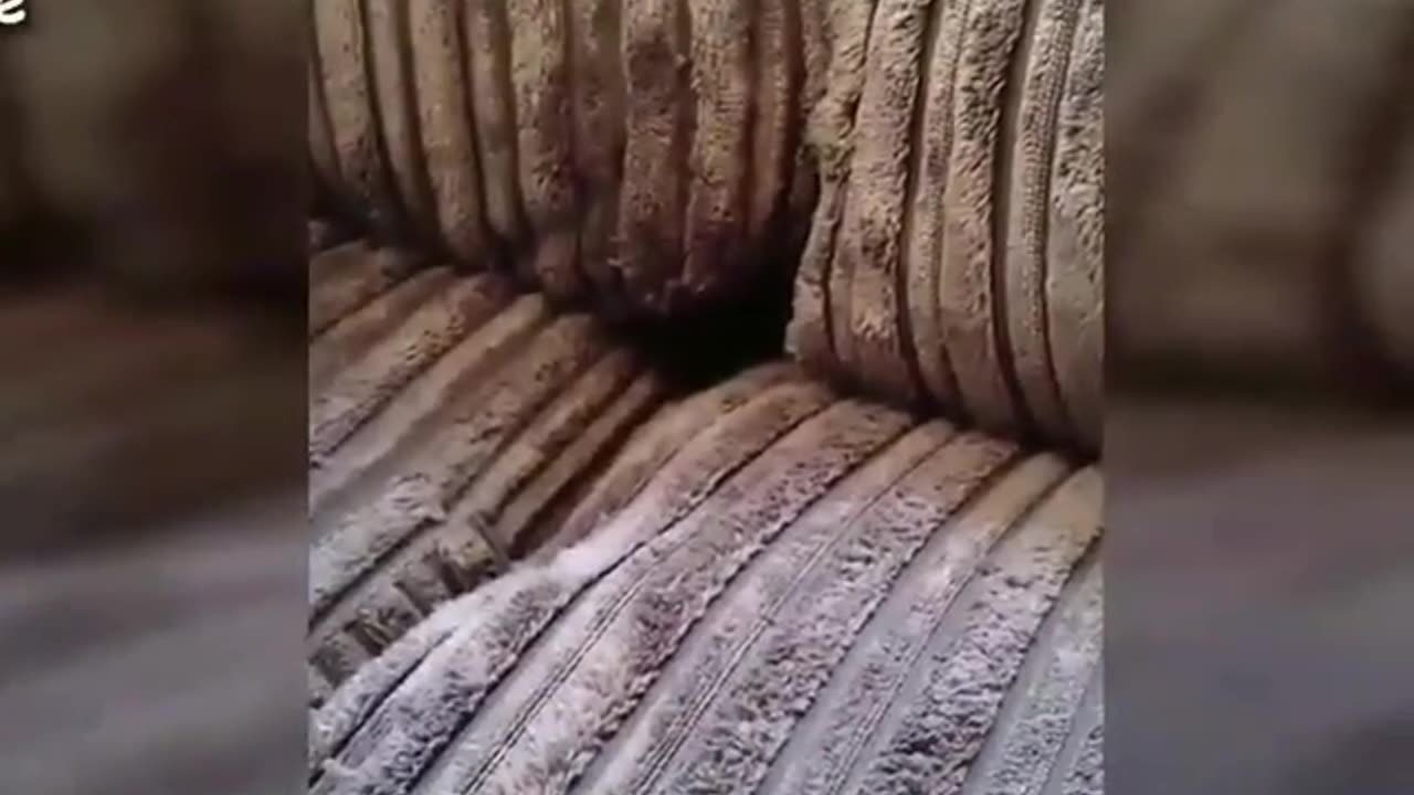 #funnymemes