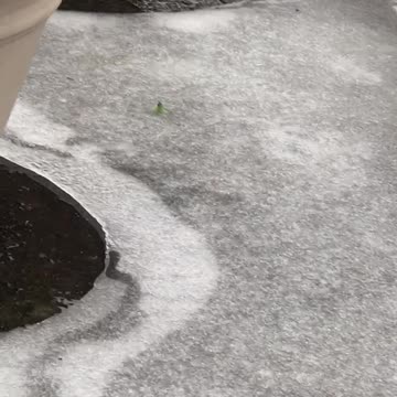 Relax watching Movement under Ice