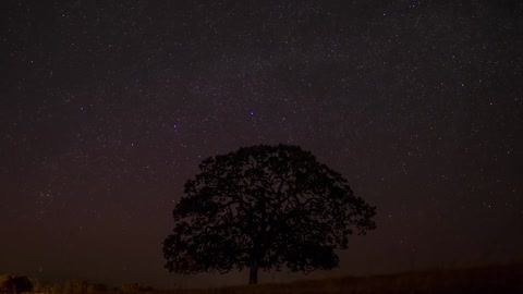 Night view of the beauty of the universe