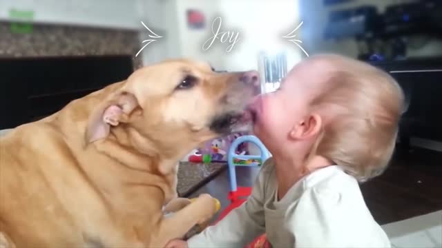 Cute Cats and Dogs Love Babies Compilation