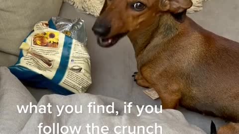 guilty as charged