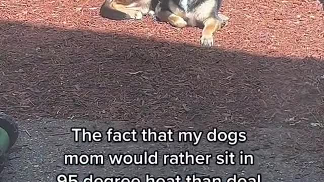 Since childhood to see big now like free to bask in the sun