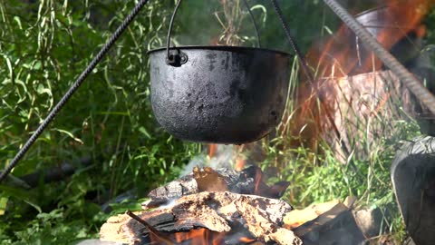 Cooking Food During Forest Camping